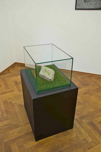 Autora: Jana Želibská Título: The Stone, 2015. La piedra, 2015 Materiales: piedra, yerba artificial, madera y vidrio. Dimensiones: 50 × 35 × 50 cm