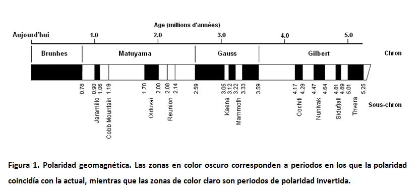 figura1polos