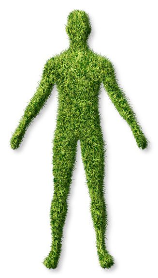 verde